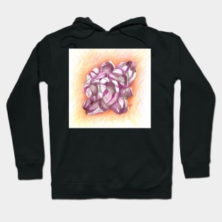 seashell. conchas Hoodie